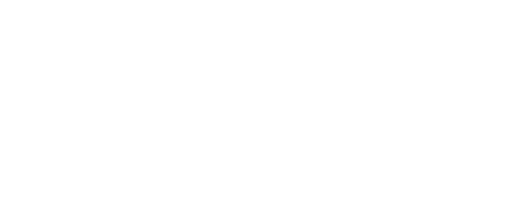IDR Logo